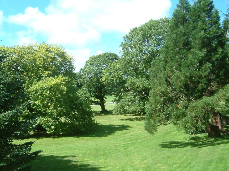 View of the grounds