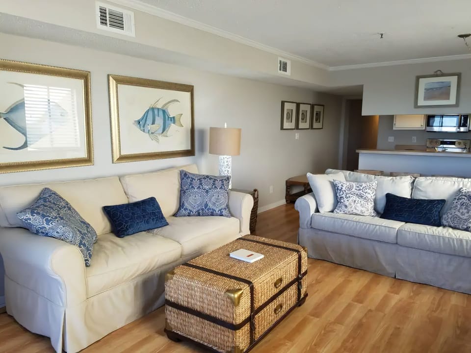 2 full sized couches
