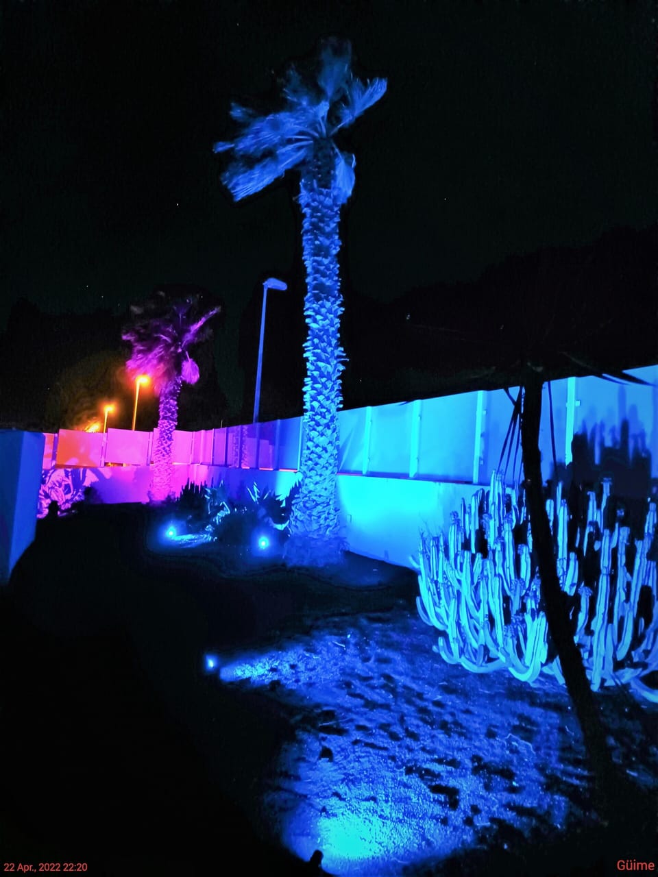 Garten bei Nacht
