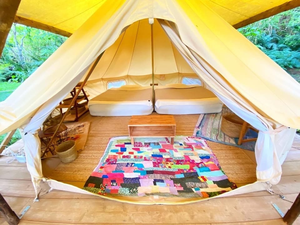 Wide 5m one pole tent