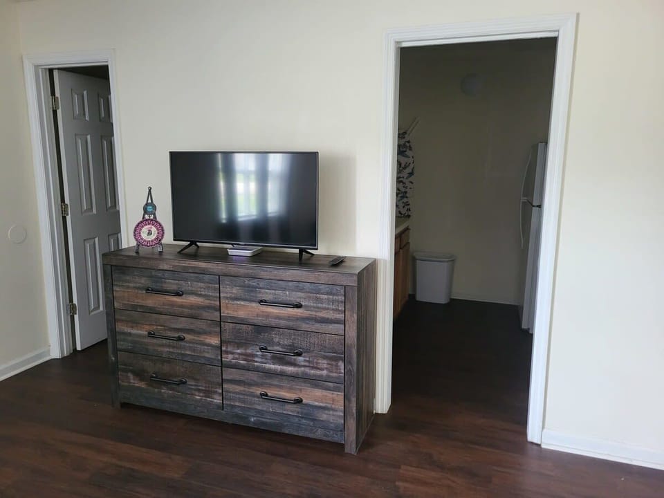 Vizio TV and Dresser