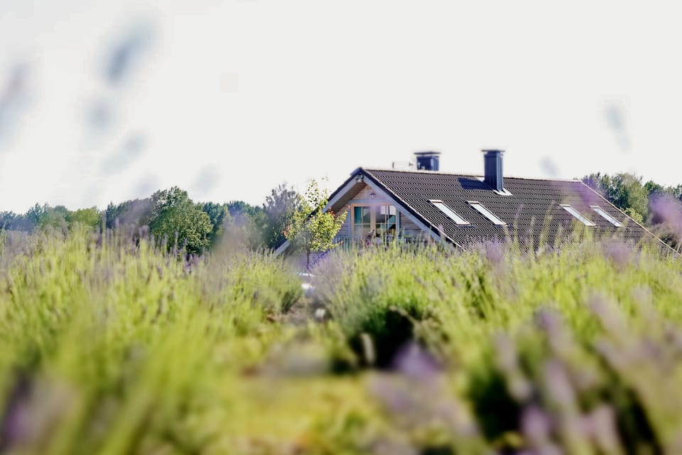 LAVENDER VILLAGE