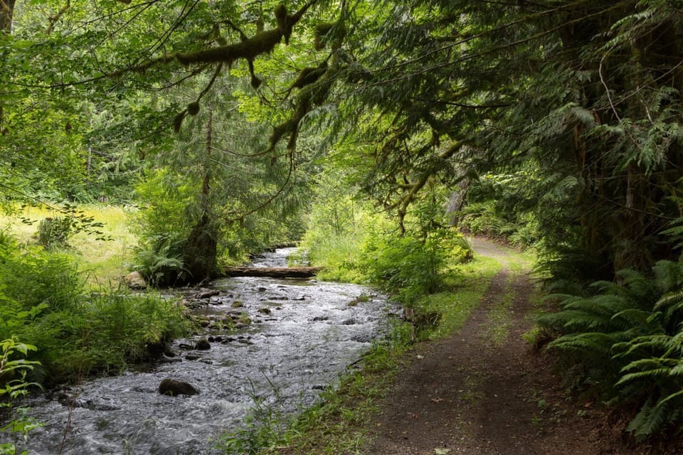 Picturesque walk along Indian creek