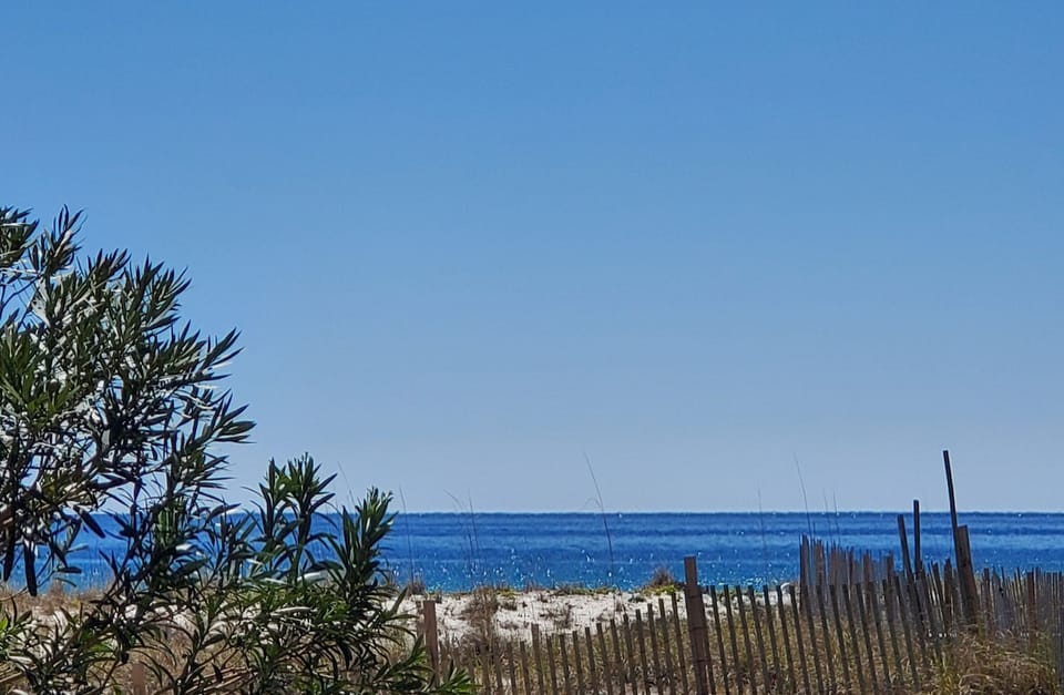 Views of the Gulf from Salty Paws backyard patio