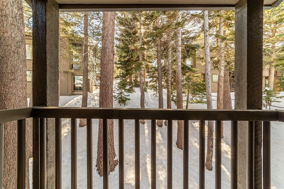 View from the Deck
