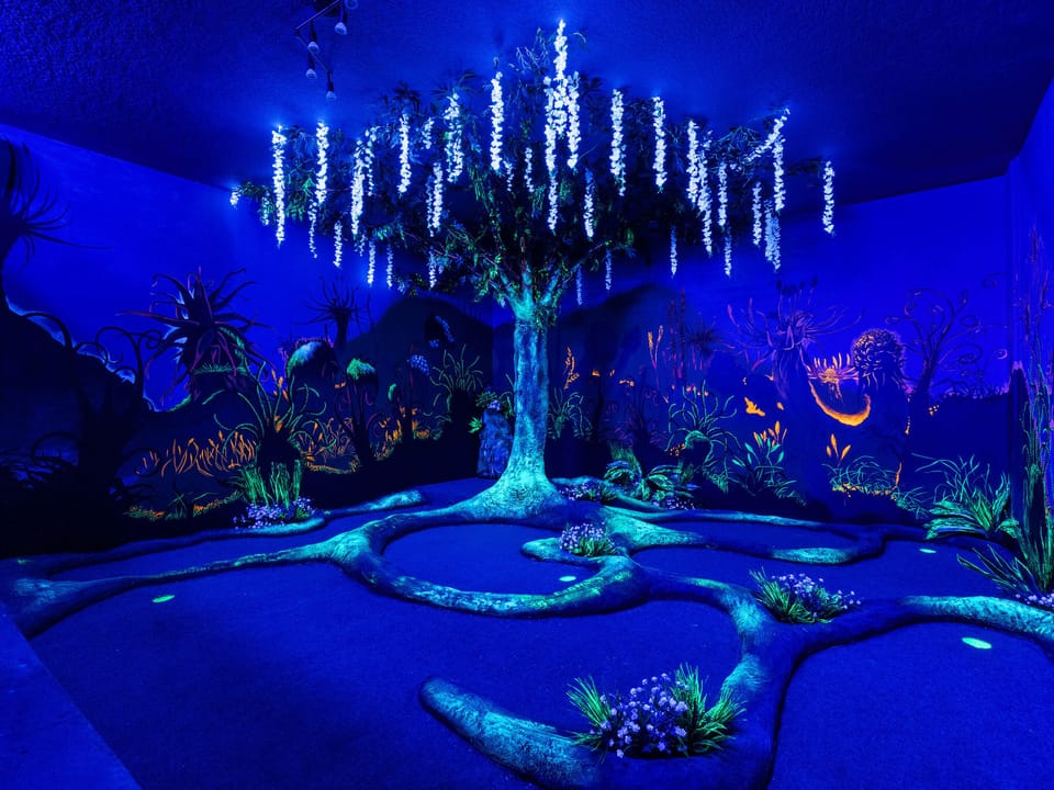 - Glow-in-the-dark mini golf under Pandora inspired tree scene  
- Blacklight adventure room with glowing murals and unique play  
- Vacation rental in Orlando with themed indoor mini golf fun