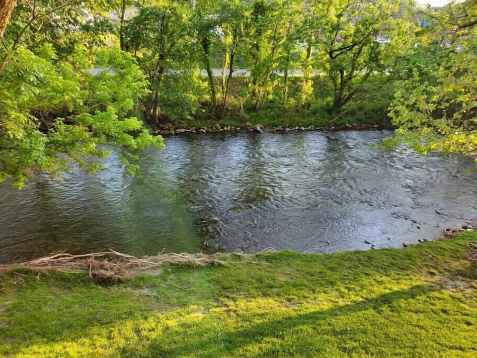 Enjoy a morning or evening walk to the river. 