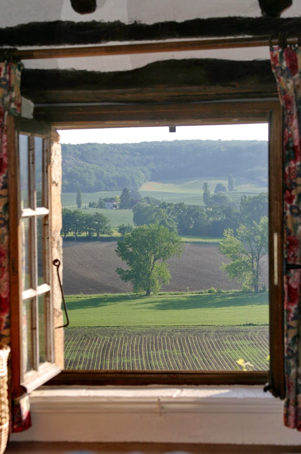 View from main bedroom window