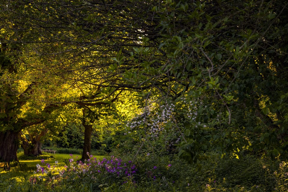 Grounds