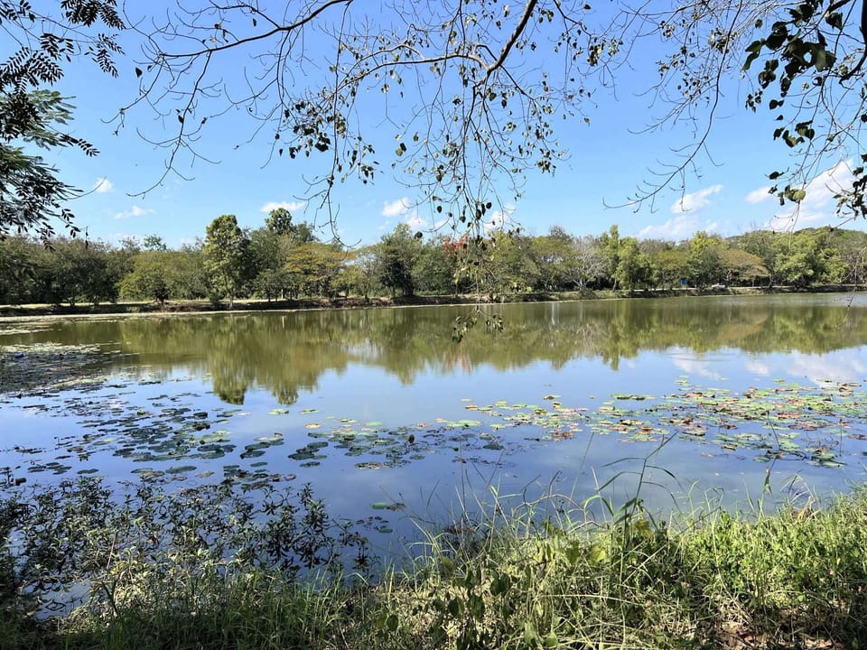 Lake