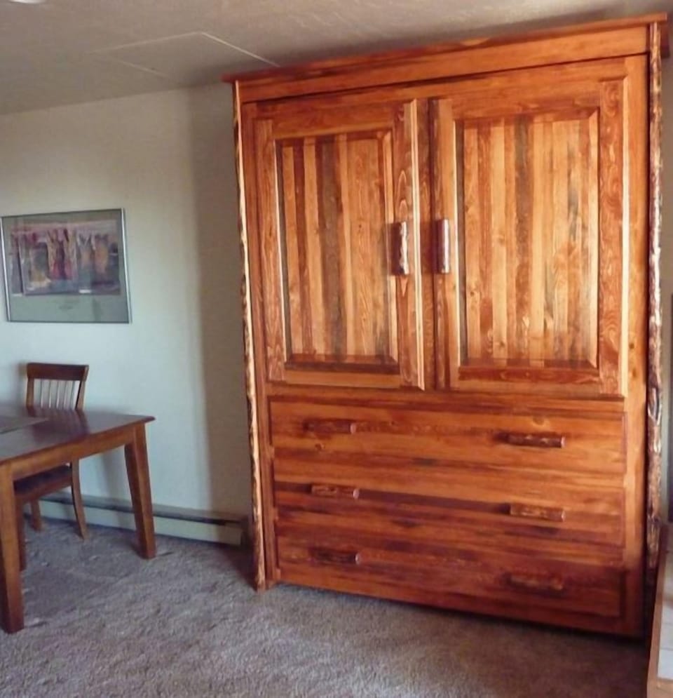 Murphy bed in the living room.