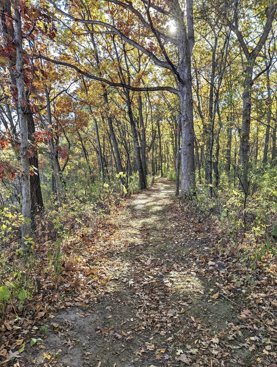 Lake on one side, trails on the other. 