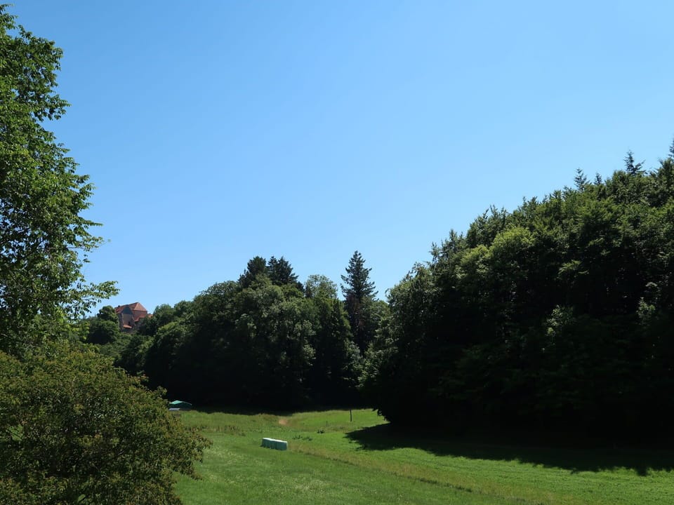 Sky, Property, Plant, Tree, Building, Land Lot, Slope, Shade, Asphalt, Wood