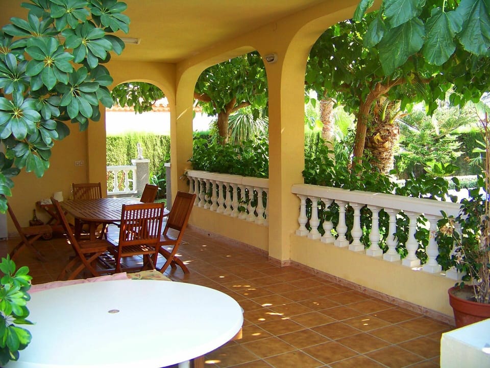 Plant, Furniture, Property, Chair, Interior Design, Outdoor Furniture, Table, Shade, Houseplant, Flowerpot