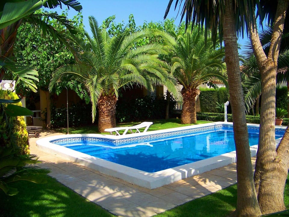 Water, Plant, Property, Swimming Pool, Building, Tree, Botany, Azure, Green, Shade
