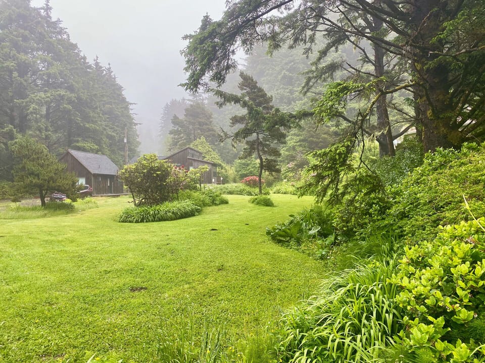 Front yard area.