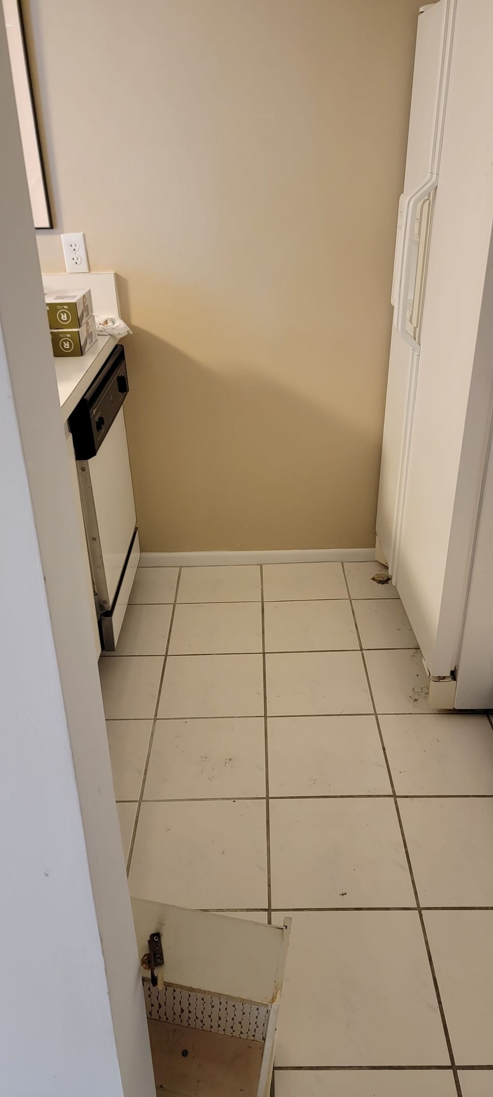 Kitchen - Dishwasher and Fridge
