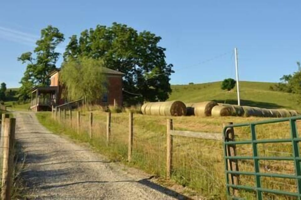 The road to the General's store.