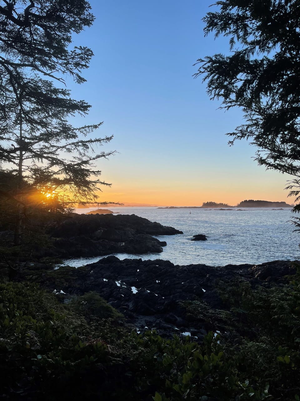 Wild Pacific Trail at sunrise - 10 minute walk to the trailhead