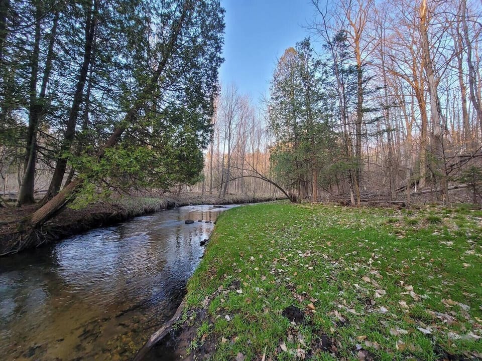 River in front of cabin