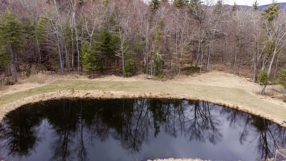 Drone view of the pond