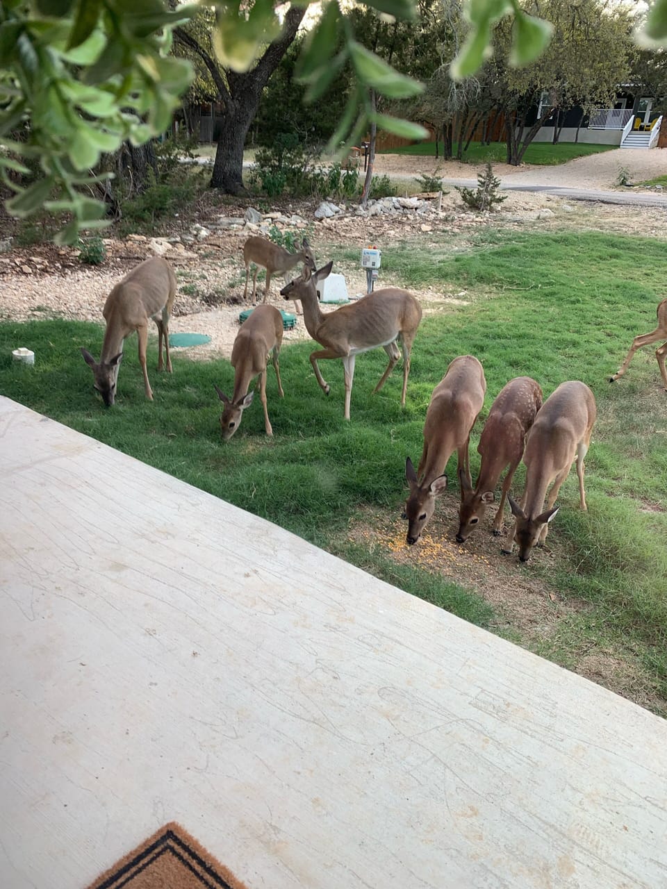 Property grounds