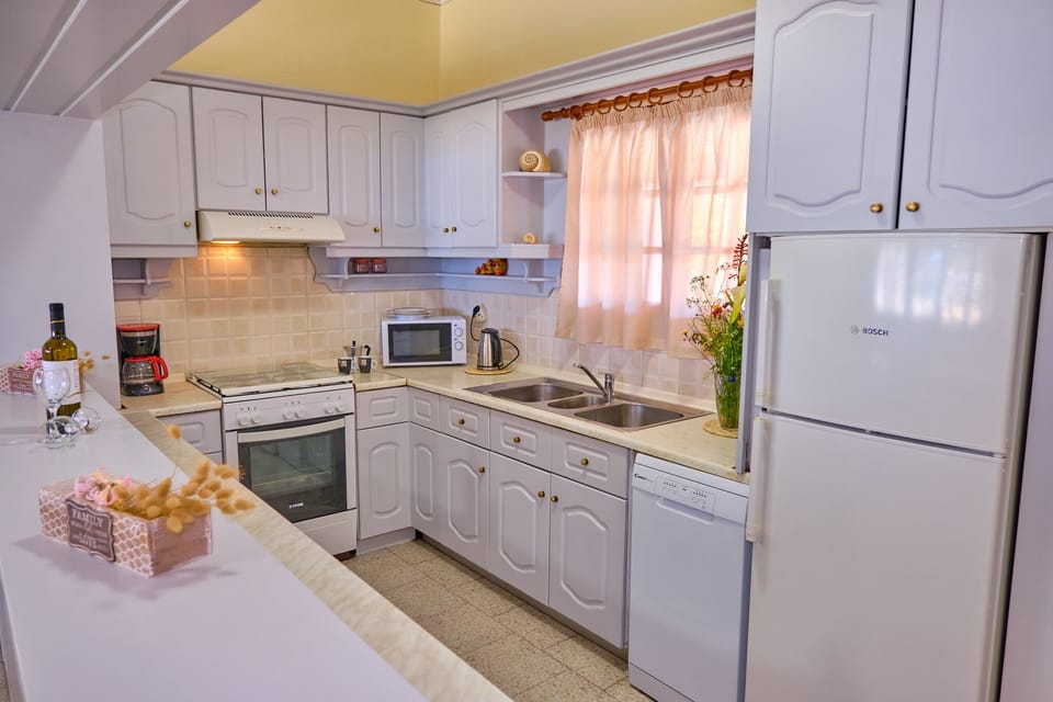 Villa Christine Afionas Corfu Kitchen