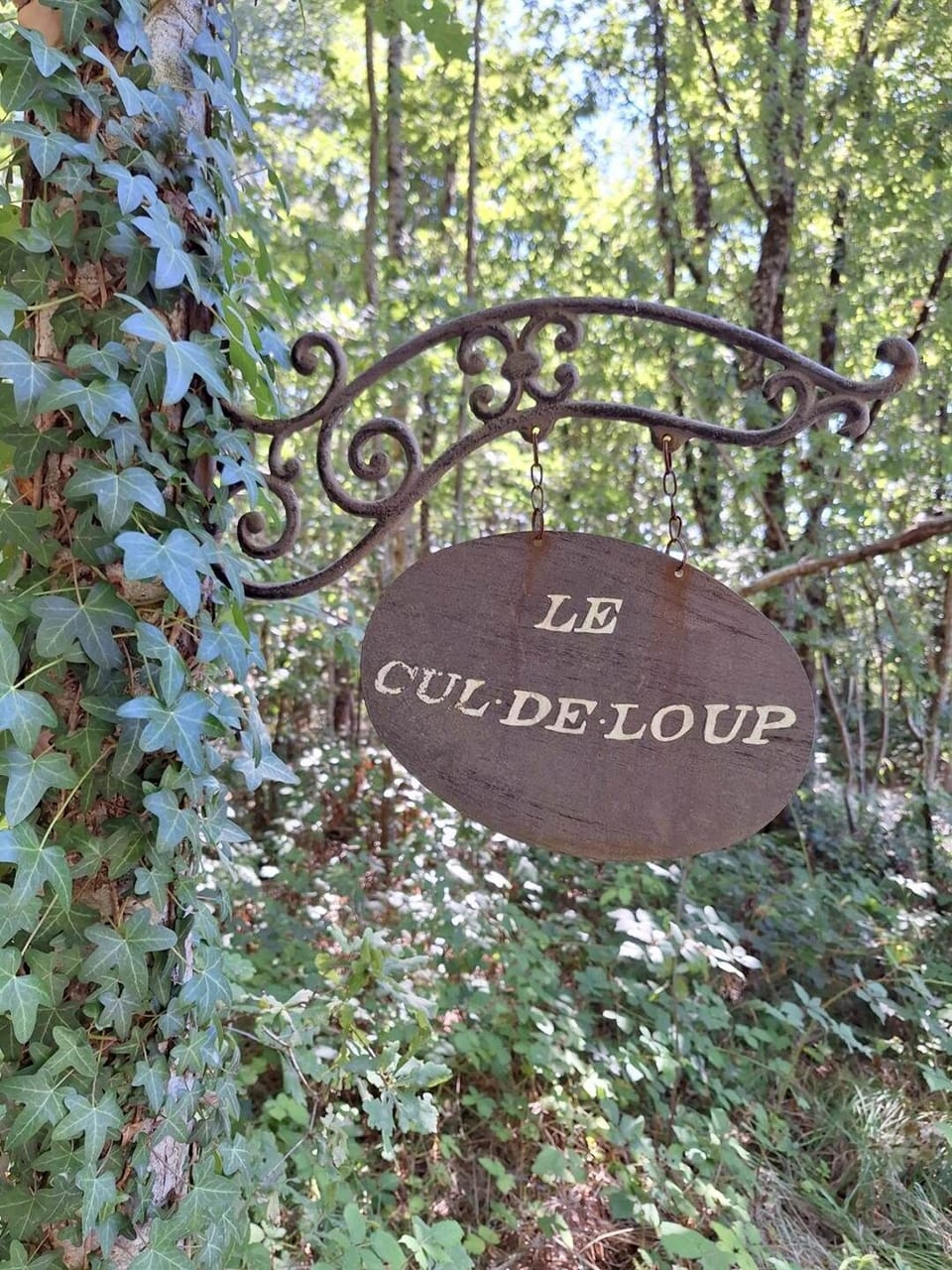 Potence d'accueil