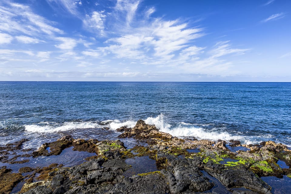 Watch dolphins year-round and whales in season directly from your lanai or bedroom window.