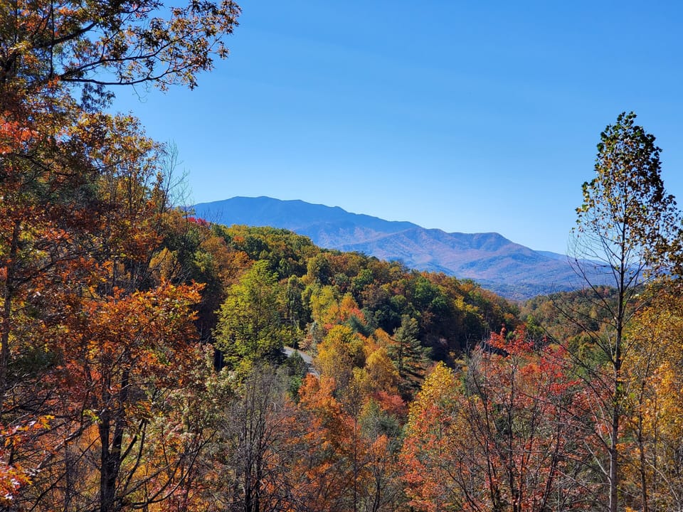 Your view of Autumn in the Smokys 