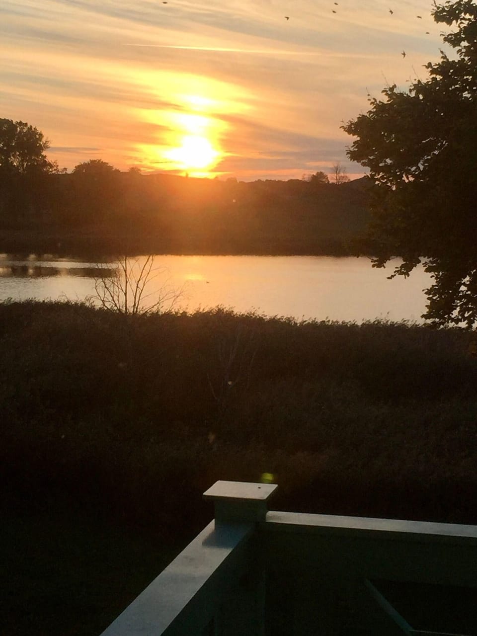View from property