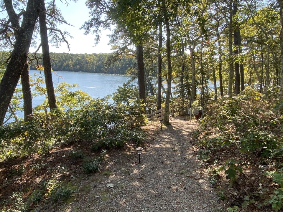 Path to Dock
