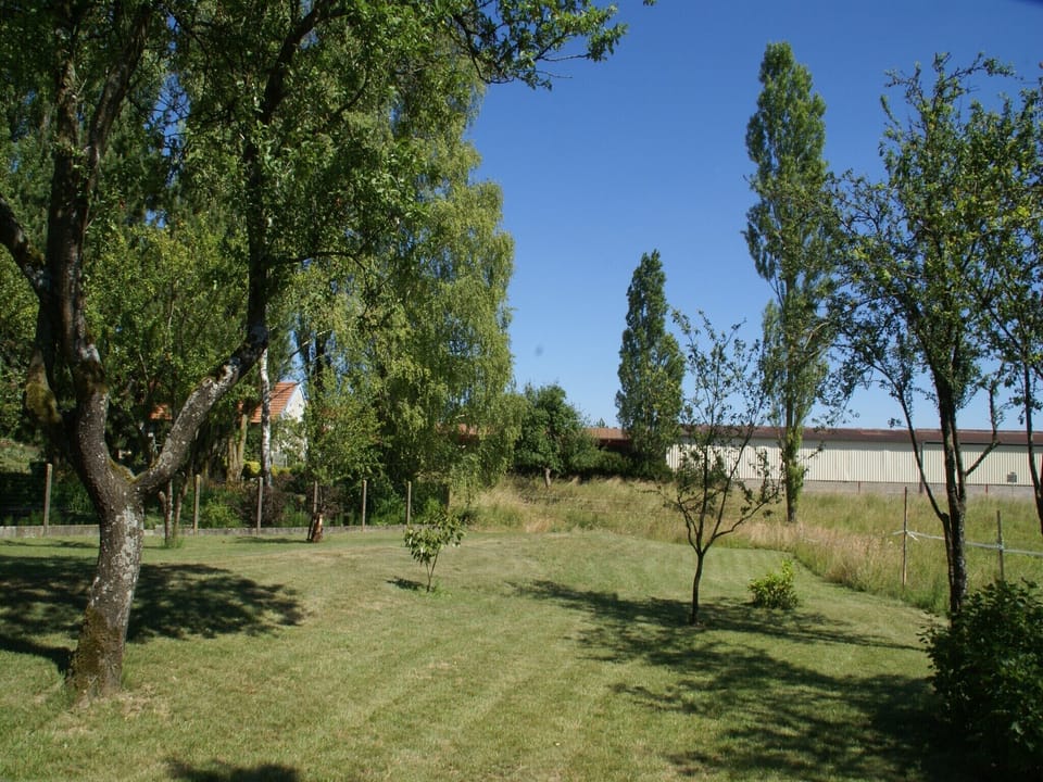 Garden [summer]