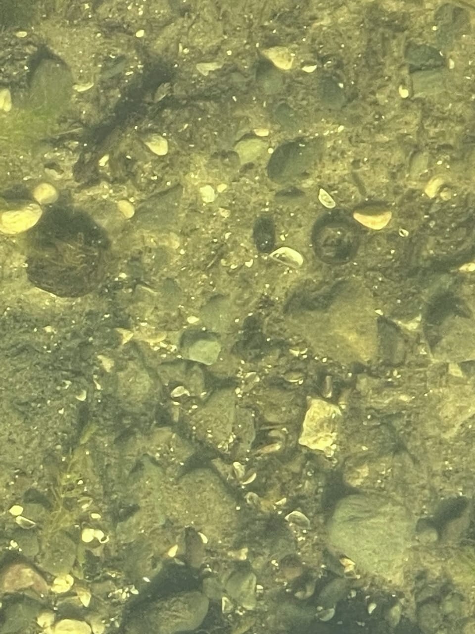 Clean lake.