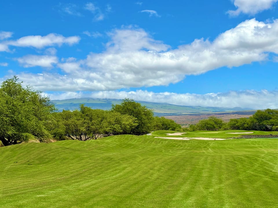 View of the fairways in front of 903.