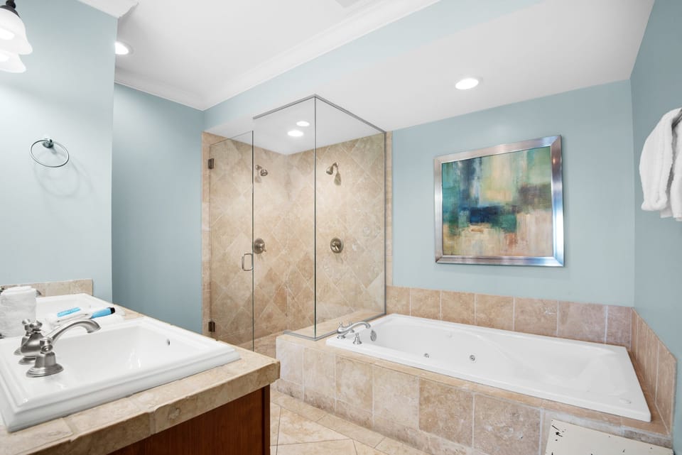 Master bathroom tub and shower
