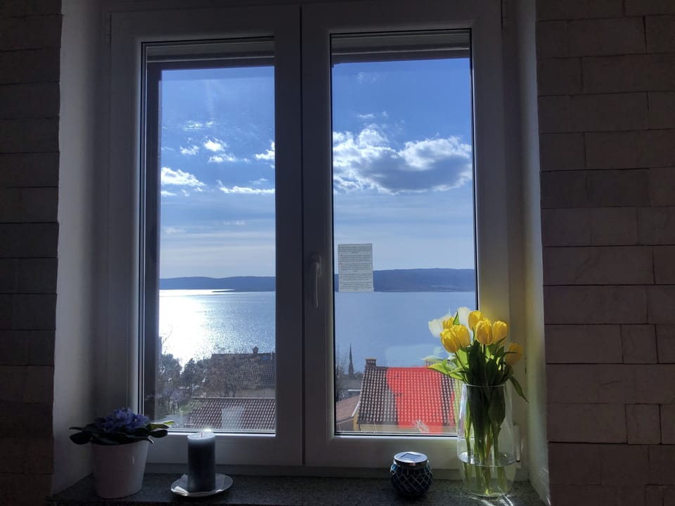 View from the kitchen window