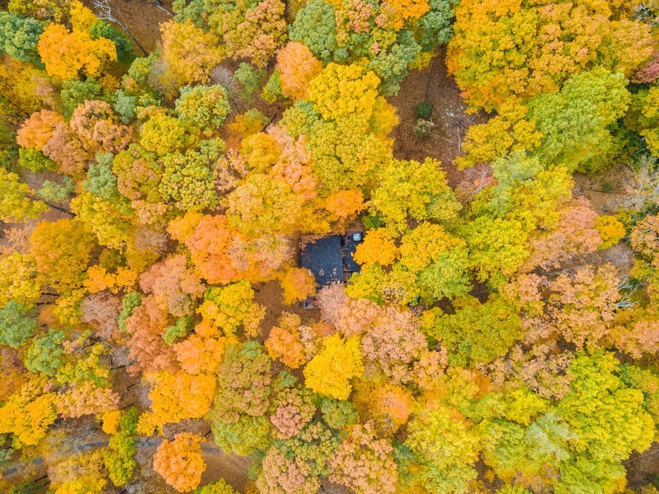 Gorgeous fall colors, with Aerie (and the hot tub) surrounded by tall trees on the mountainside.