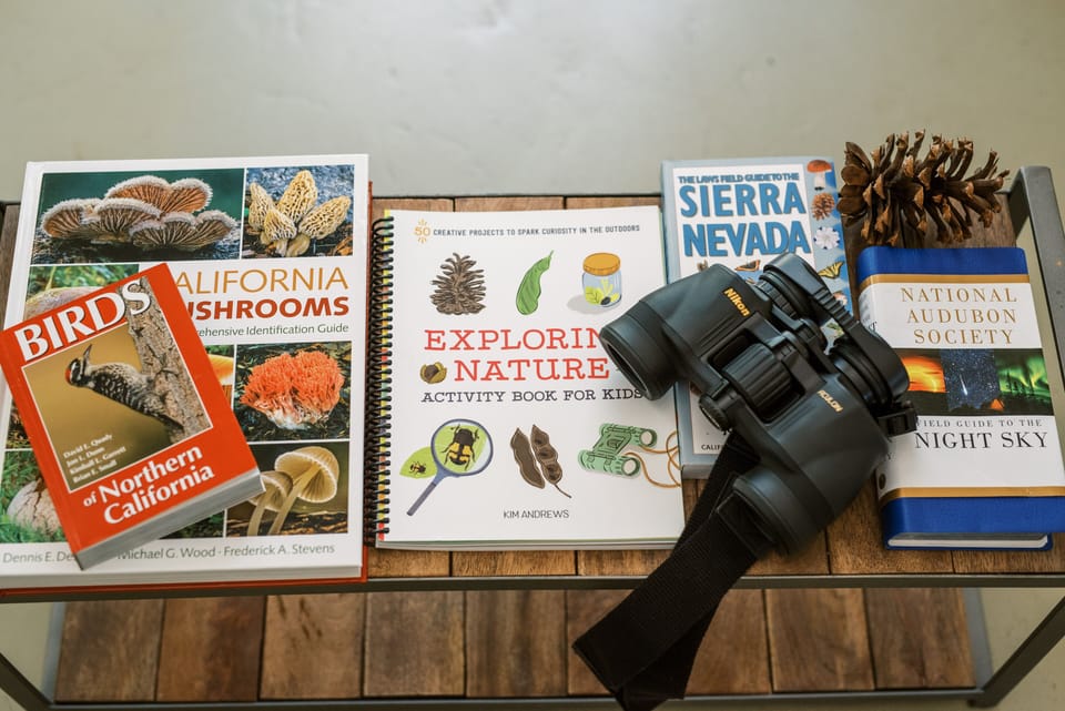 Miscellaneous