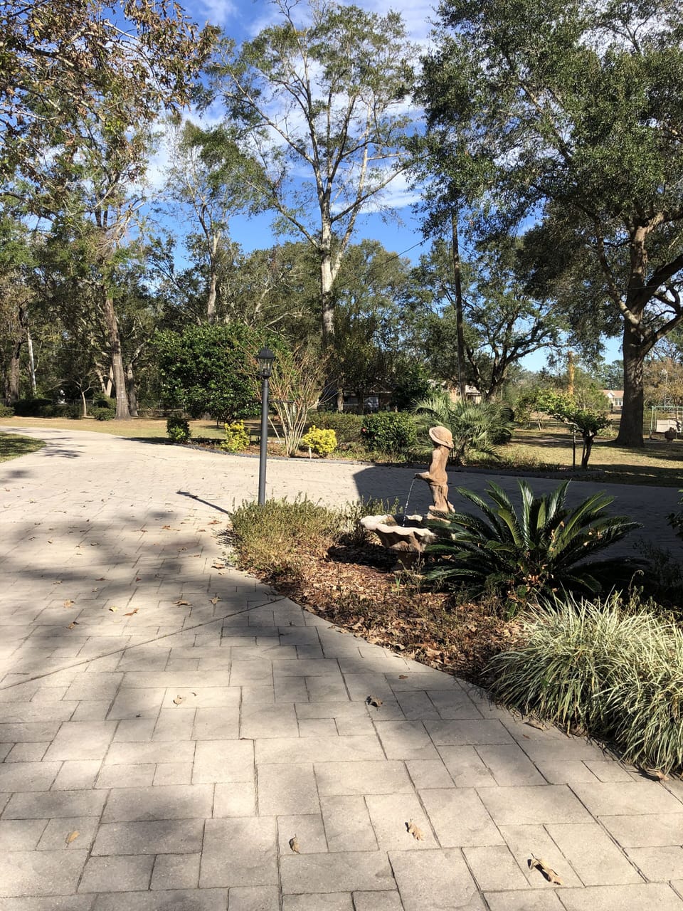 Surrounding area of the property