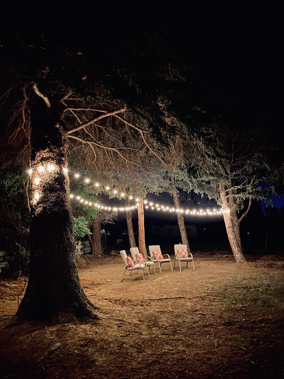 Backyard (also has fire pit) 