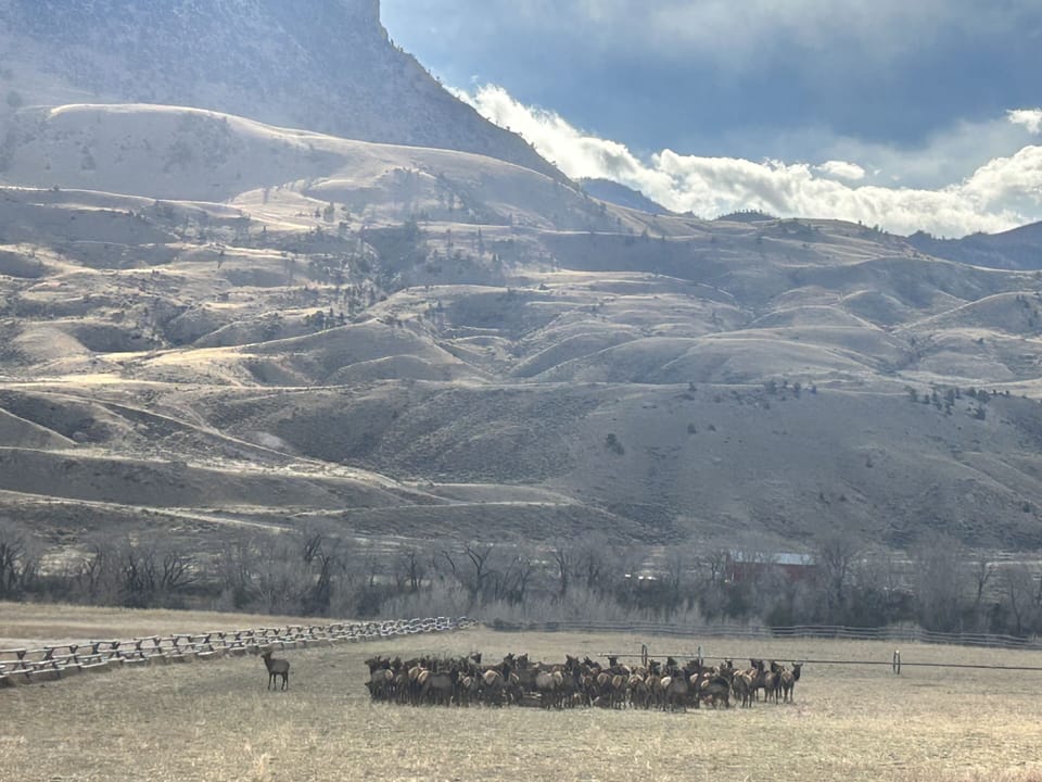 Cody, Wy (1 hr. Away) 