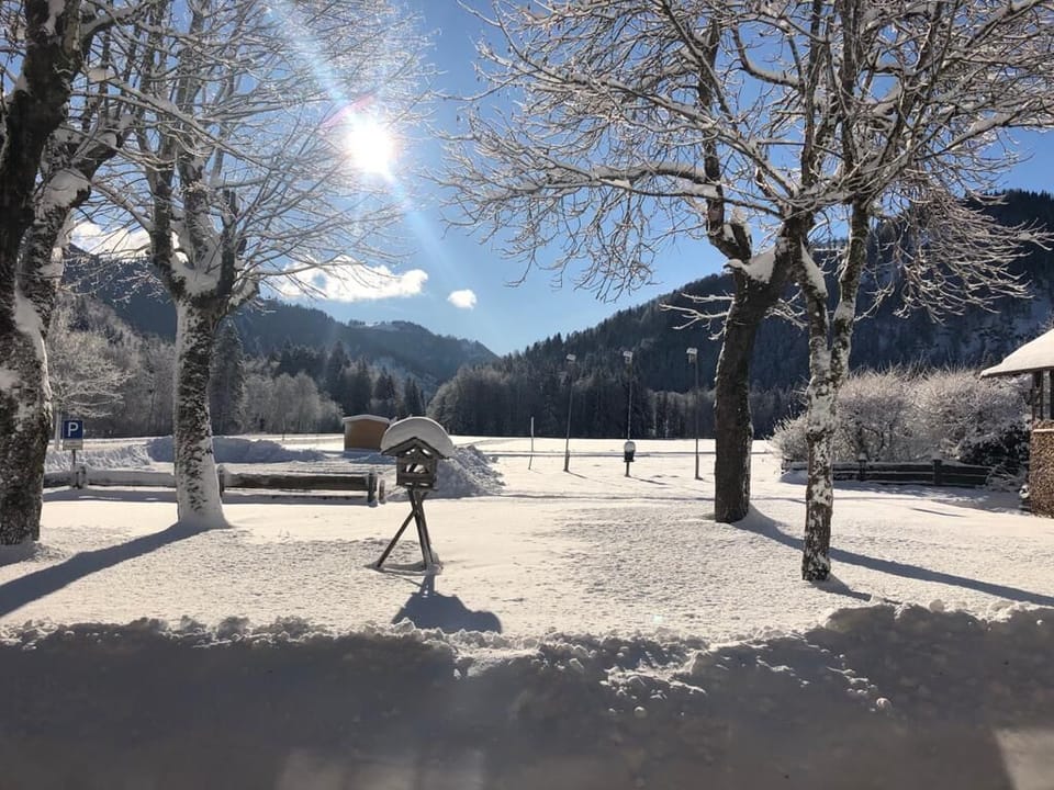 Snow and ski sports