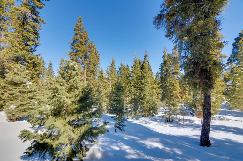 Property Views