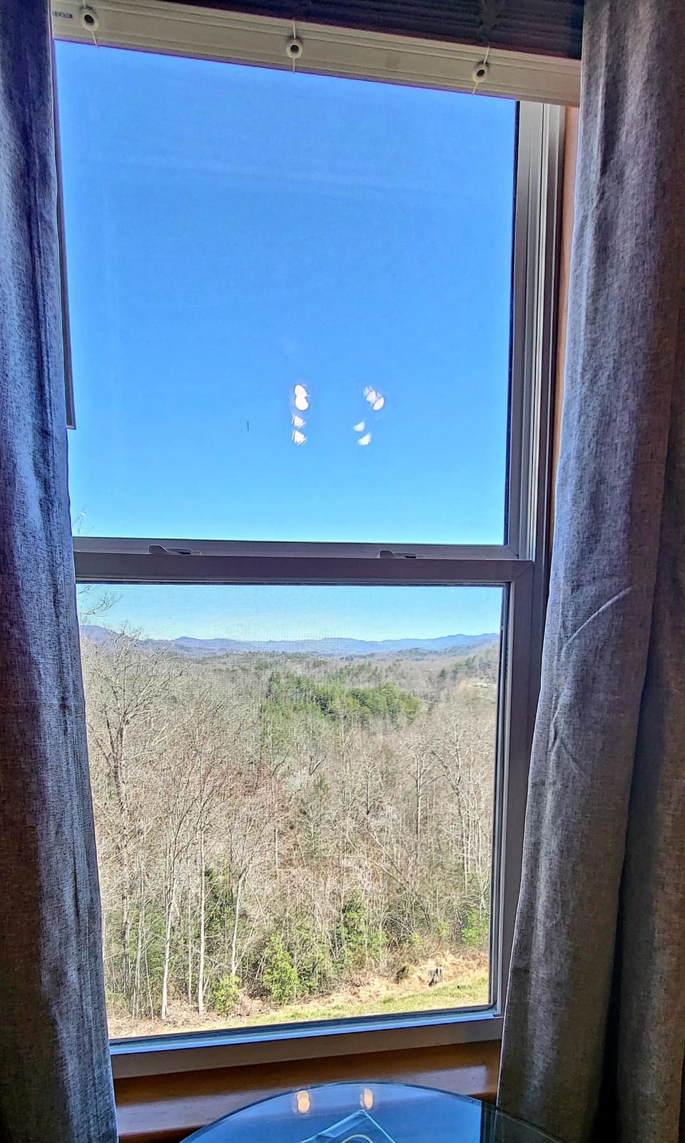 Winter Views from the Elephant room 