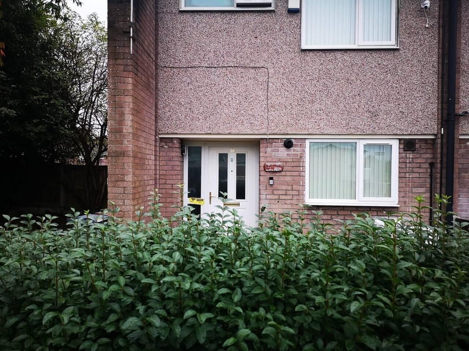 Image 16