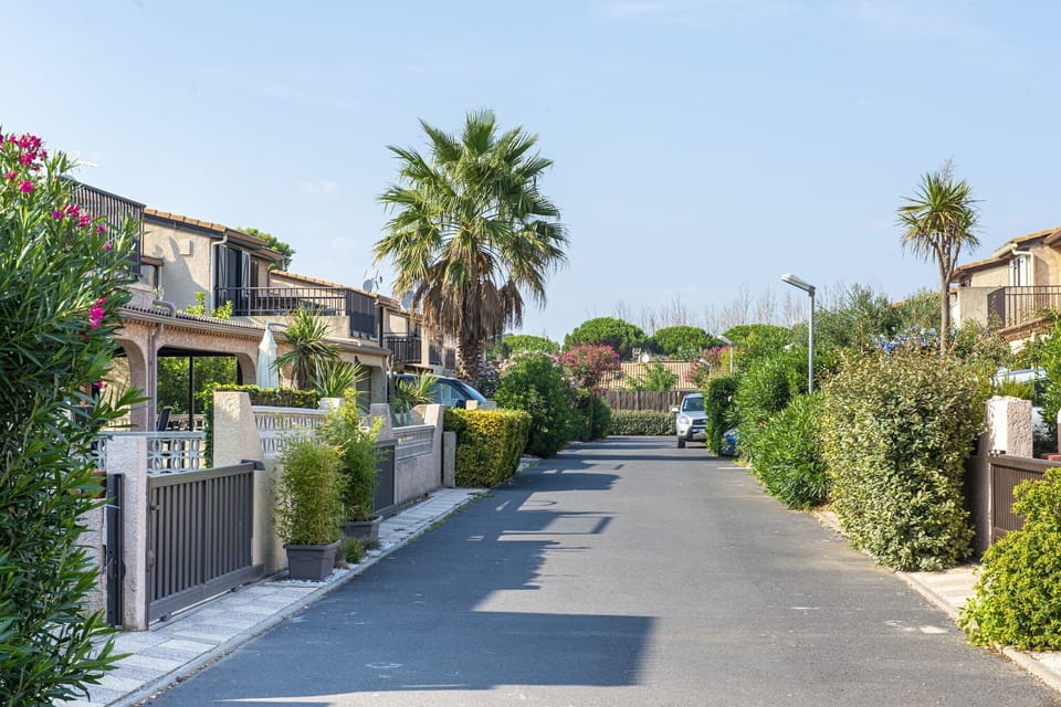 Immediate Surroundings [summer] (<1 km)