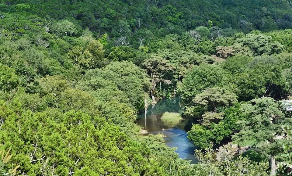 Stunning Guadalupe River View from the house.