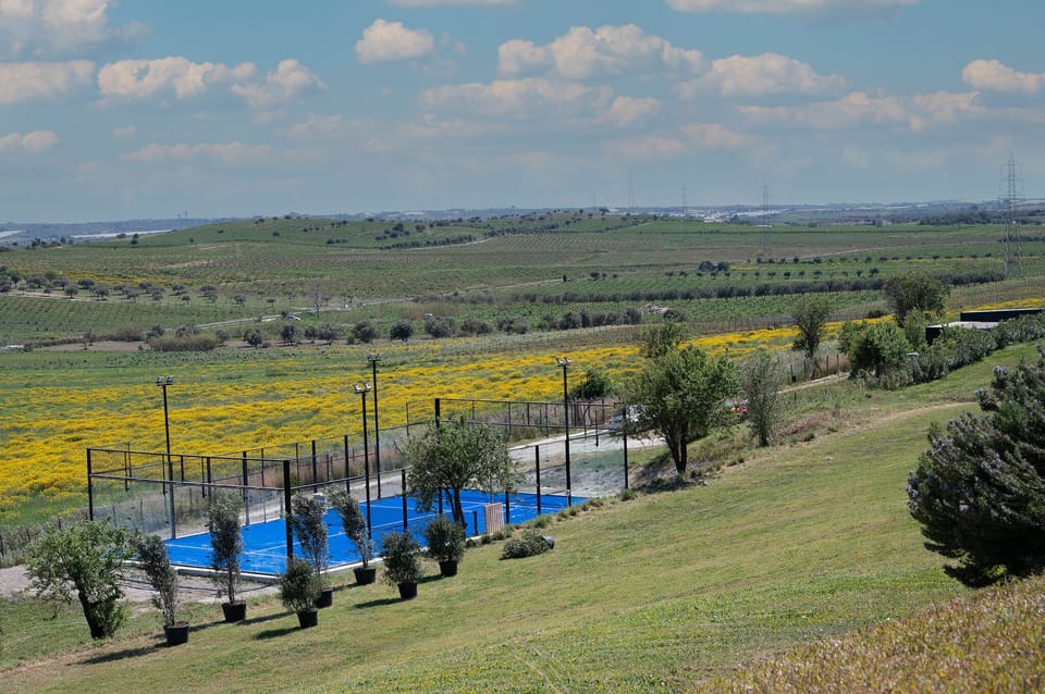 Sport court