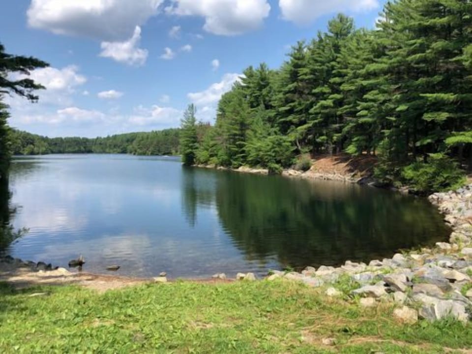 Escape the bustle with peaceful lakeside scenery on day outings.